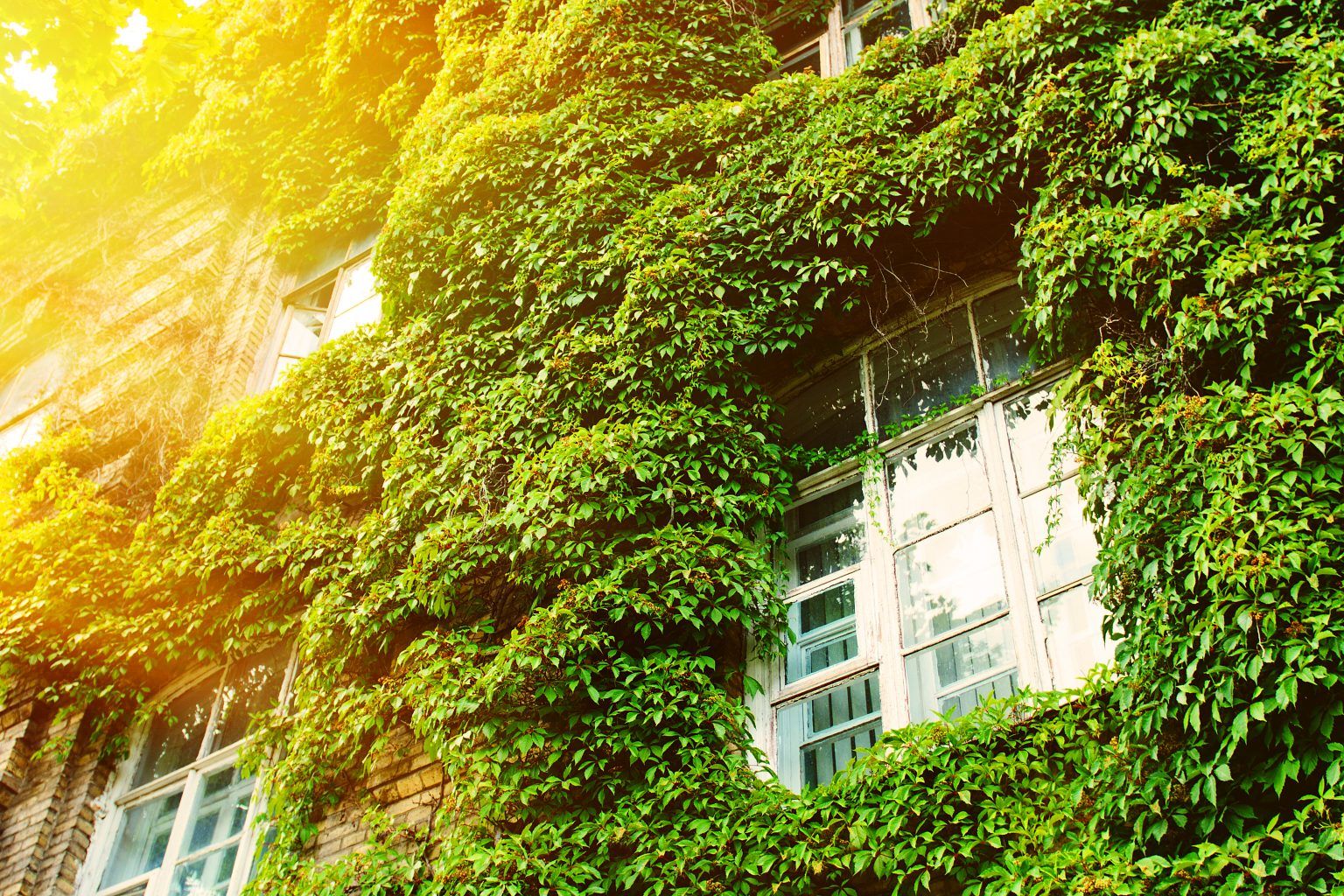Criterios bioclimáticos de las casas Passivhaus